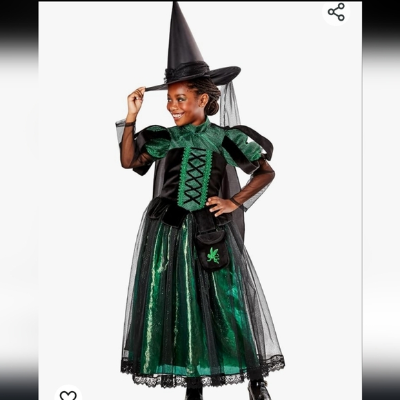 Wicked witch costume - Picture 1 of 5